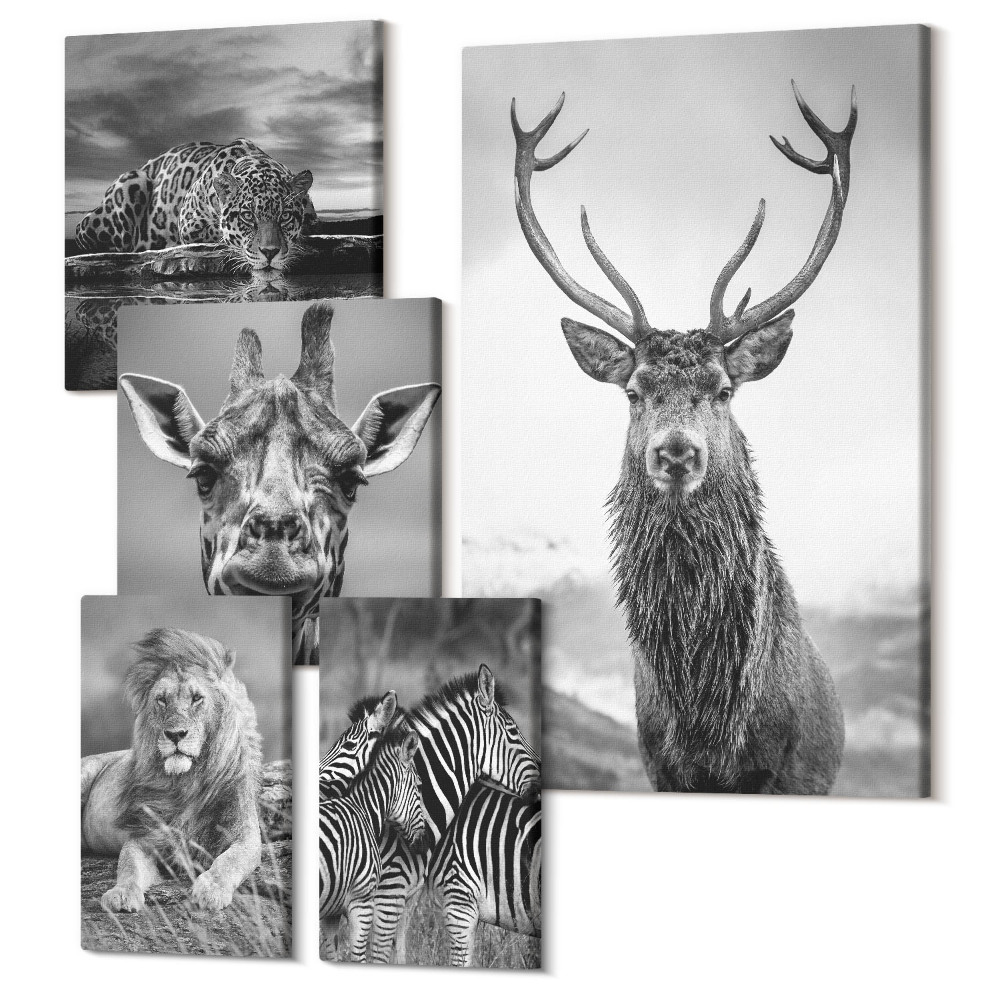 Set tablouri 5 piese Animale în alb și negru din natură și animale sălbatice