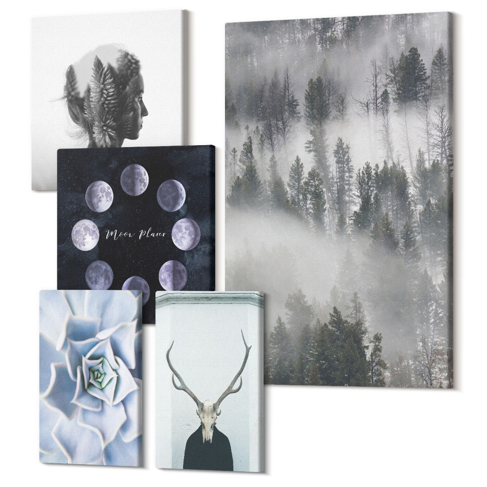 Set tablouri 5 piese Motive naturale forestiere și fenomene cosmice