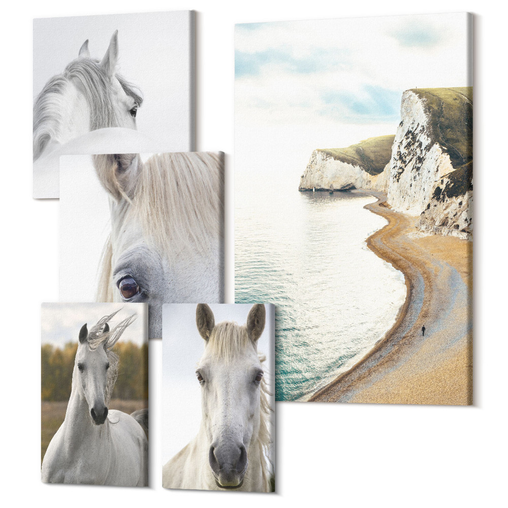 Tablou din 5 piese Cai pe plajă și în natură într-un stil minimalist