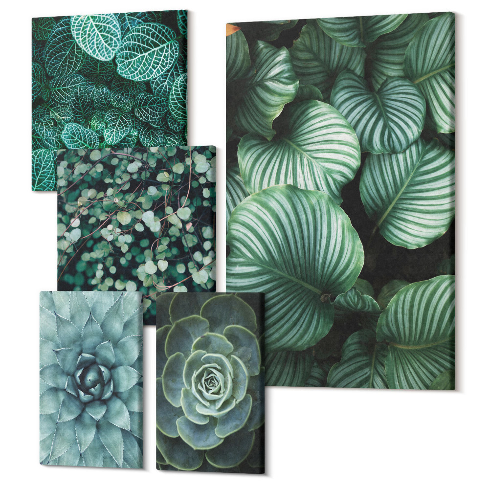 Tablou din 5 piese Motive vegetale cu frunze și suculente în stil natural