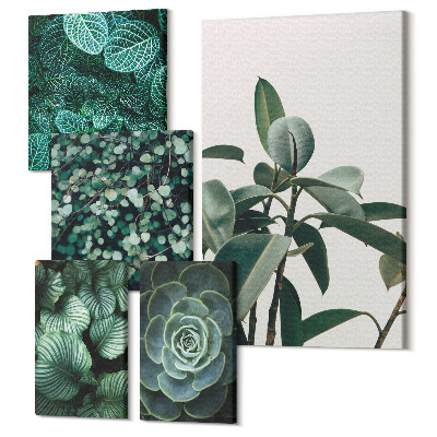 Set tablouri 5 piese Motive vegetale cu frunze verzi și suculente