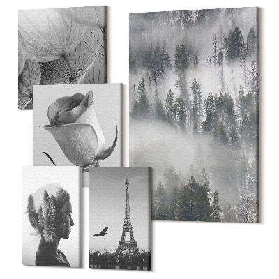 Tablou din 5 piese Inspirații alb-negru cu natura și un oraș european