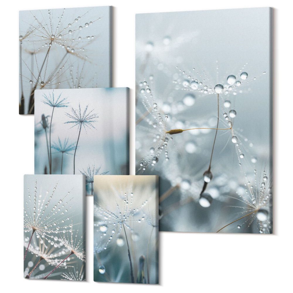 Tablouri canvas set 5 piese Motive vegetale delicate cu picături de apă pe un fundal natural