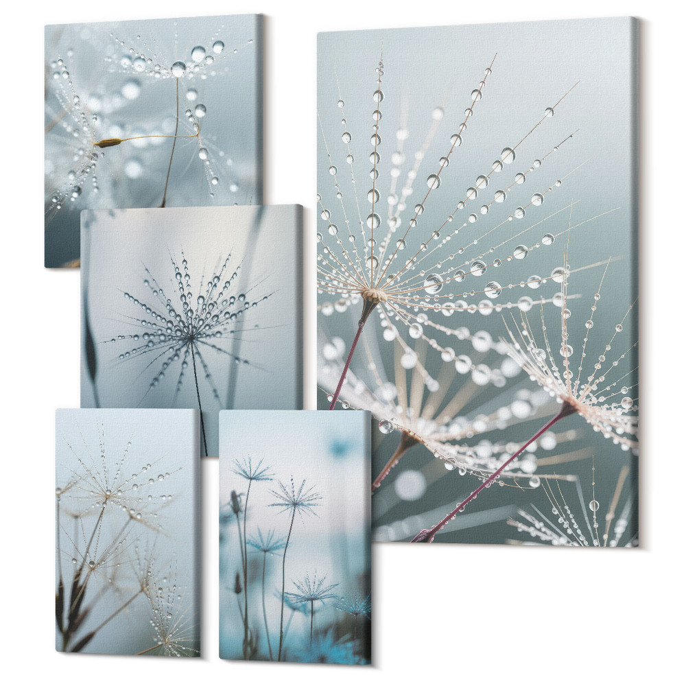 Tablou din 5 piese Picături de apă pe plante într-un stil minimalist