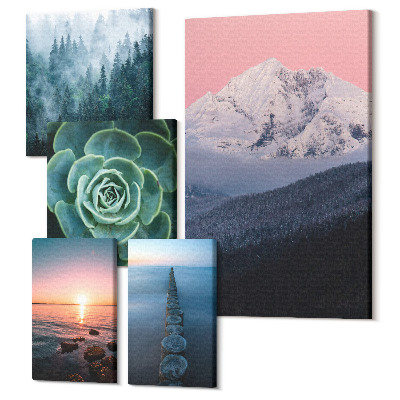 Tablouri canvas set 5 piese Peisaje naturale munti mare plante stil boho