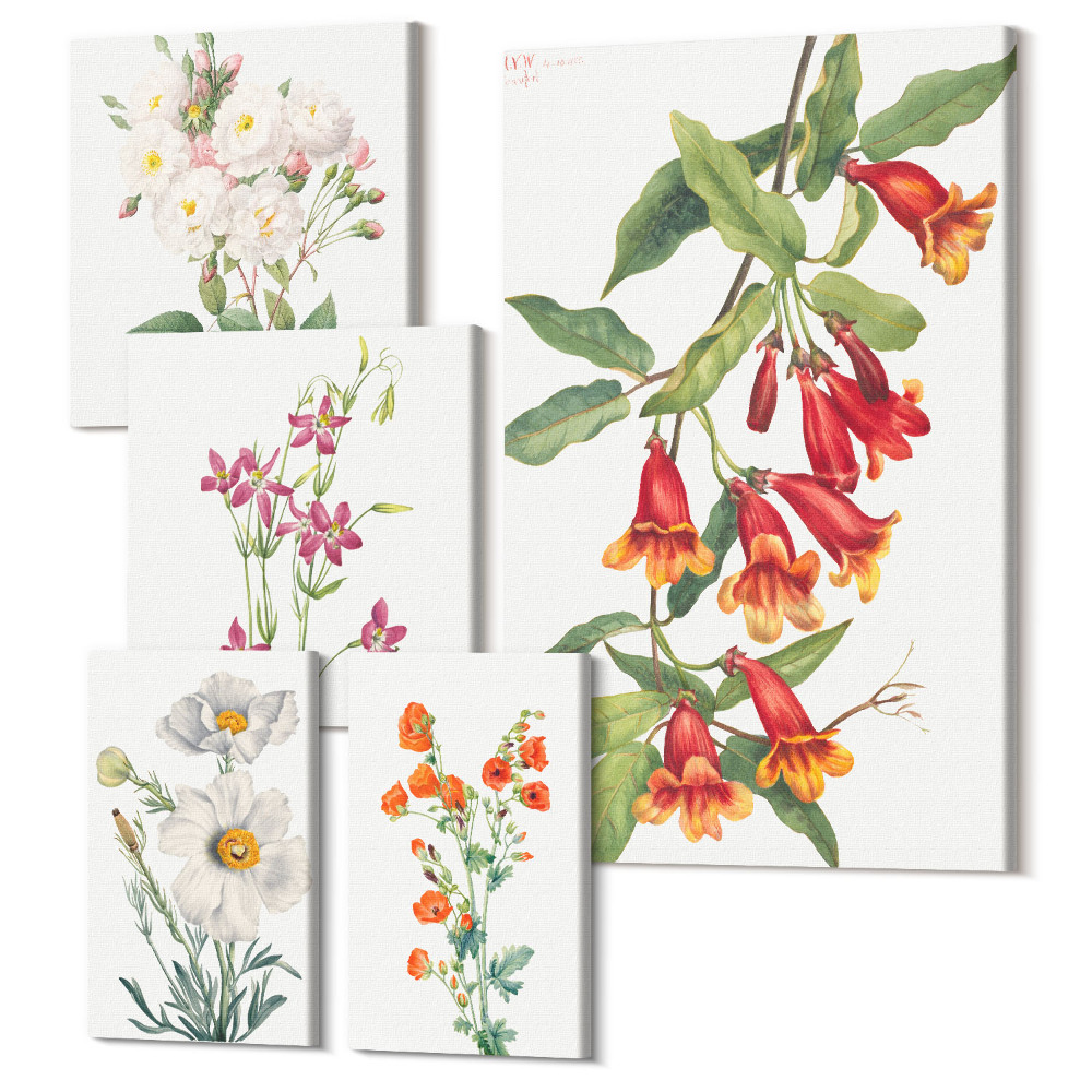 Tablou din 5 piese Motive florale botanice pe pânză