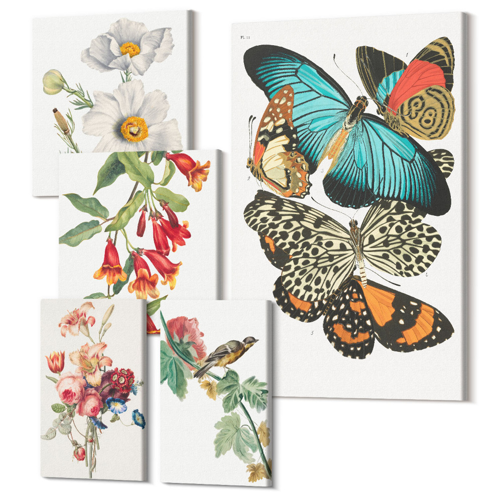 Set tablouri 5 piese Decor de perete vintage cu flori, fluturi și păsări