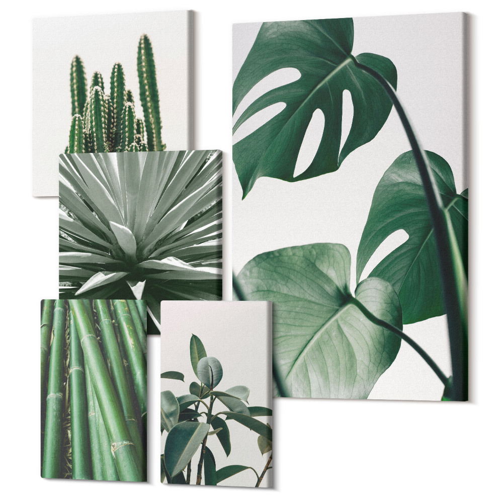 Tablouri canvas set 5 piese Plante tropicale verzi într-un design interior modern