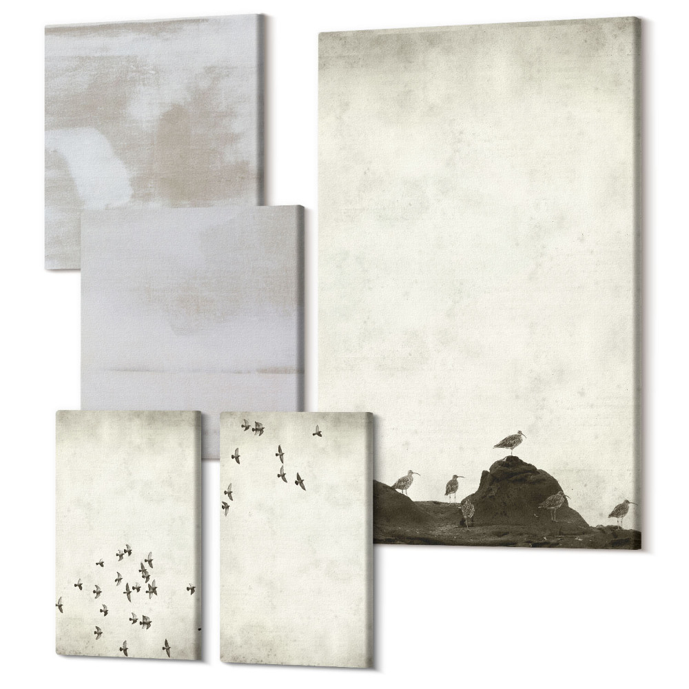 Set tablouri 5 piese Păsări în zbor și texturi în dificultate stil minimalist