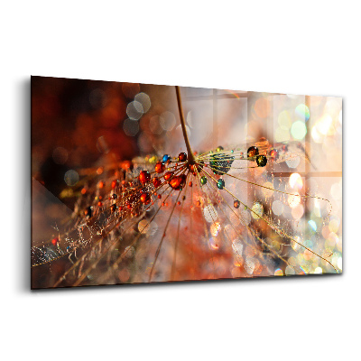 Tablou de sticlă Păpădie cu companie de rouă