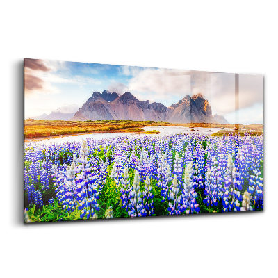 Tablou sticlă Flori magice de lupin