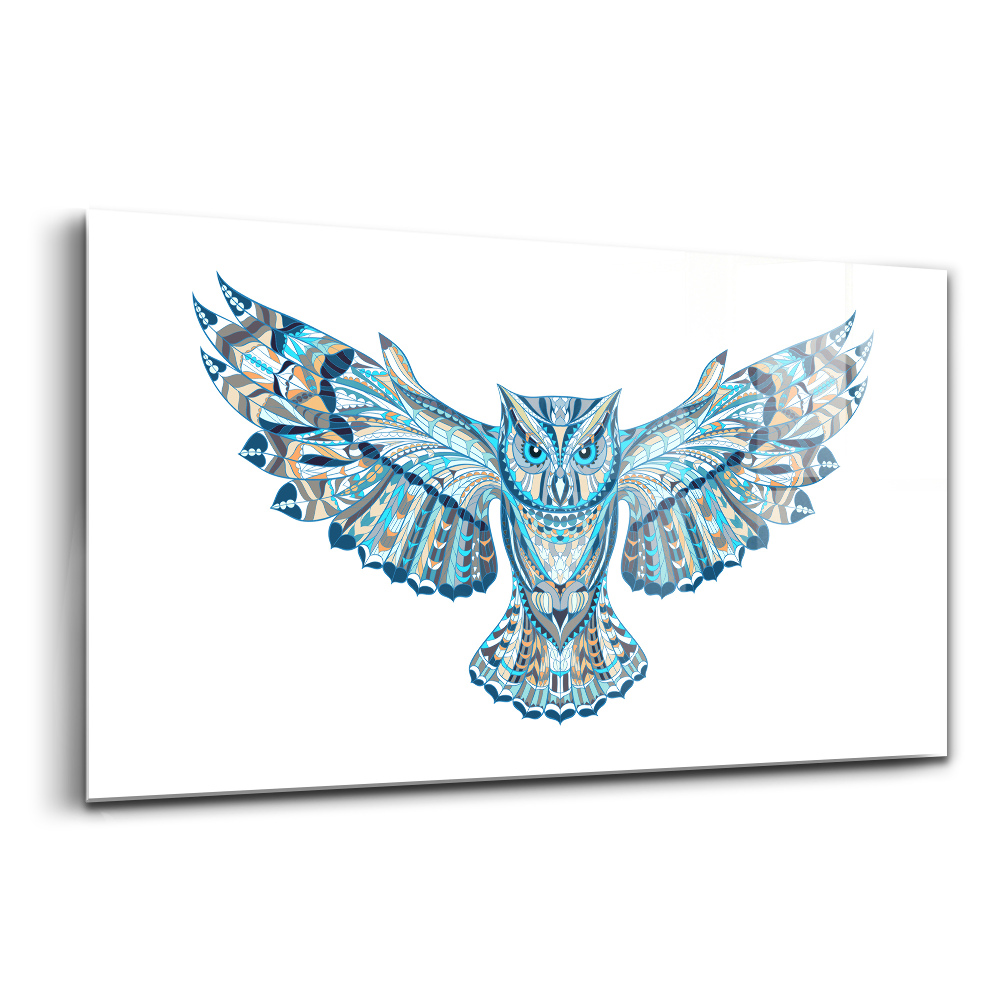 Tablou pe sticlă Bufniță în zbor