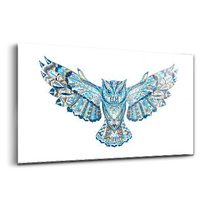 Tablou pe sticlă Bufniță în zbor