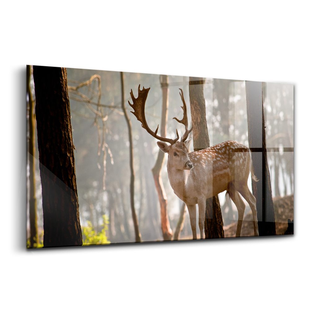 Tablou sticlă Cerbi în strălucirea soarelui care răsare