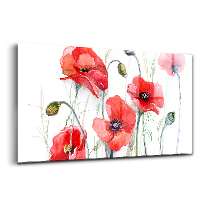 Tablou din sticlă Arta picturii macilor roșii