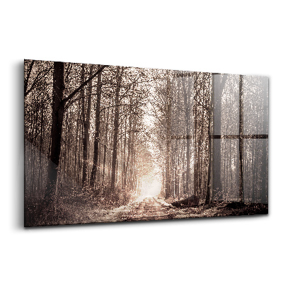 Tablou pe sticlă Cale de pădure în tonuri sepia
