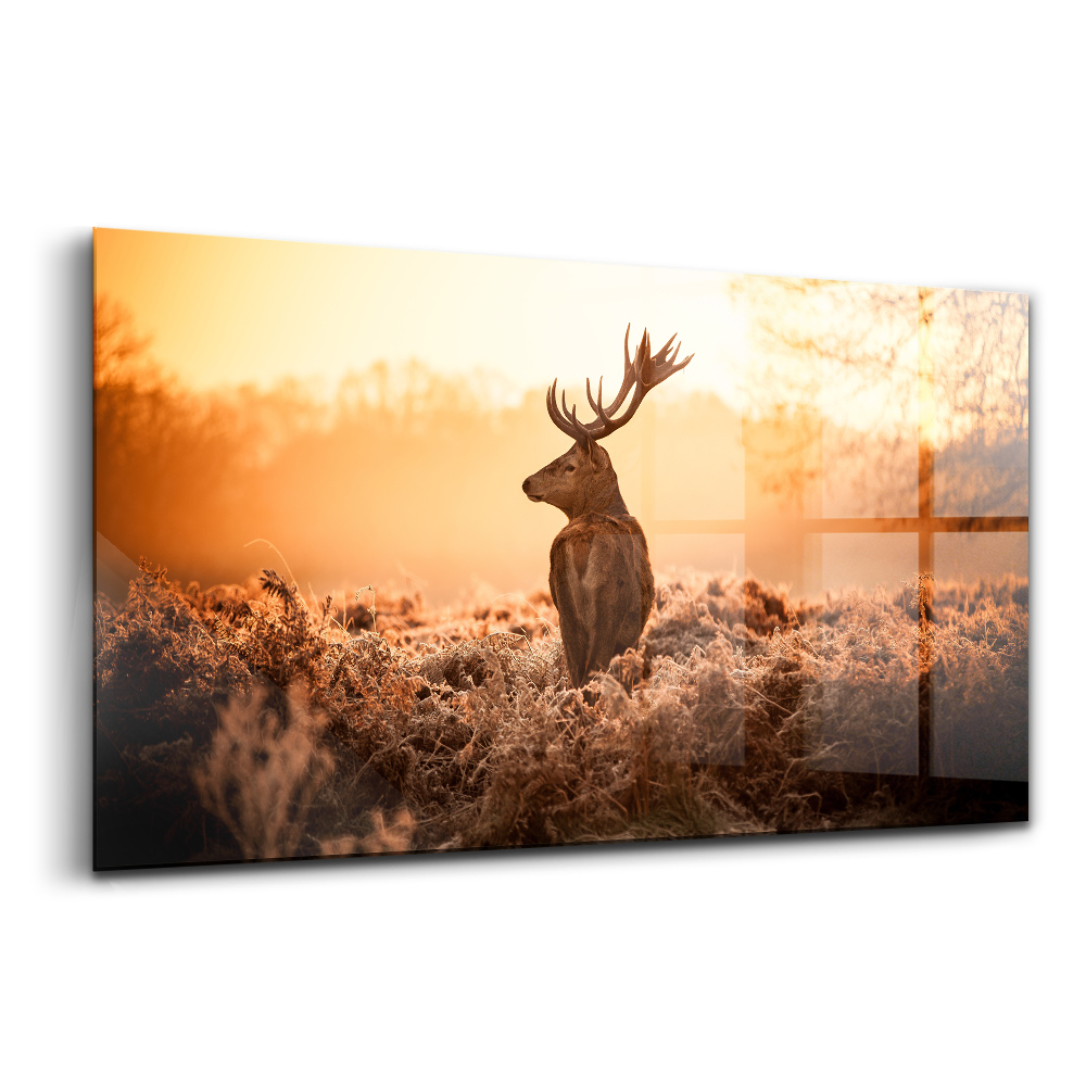 Tablou din sticlă Cerb la răsărit