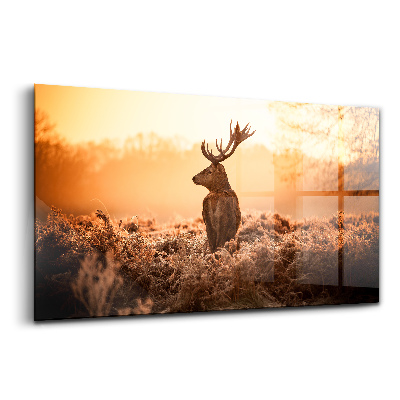 Tablou din sticlă Cerb la răsărit