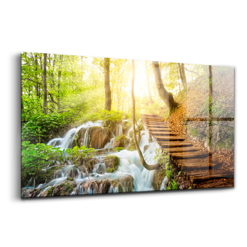 Tablou din sticlă Pârâu de pădure