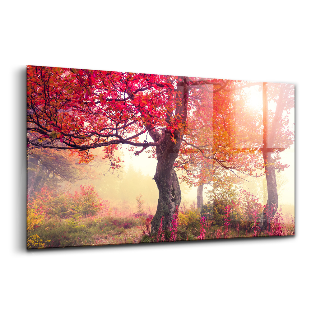 Tablou de sticlă Copaci de toamnă