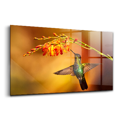 Tablou de sticlă Pasărea colibri