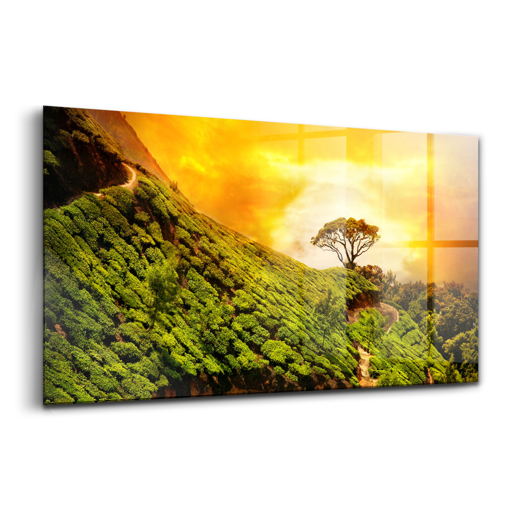 Tablou din sticlă Dealul Ceaiului