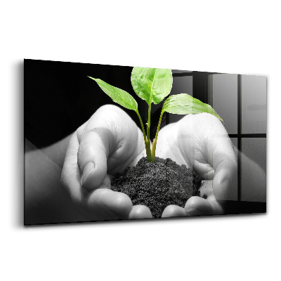 Tablou din sticlă O plantă în mâini