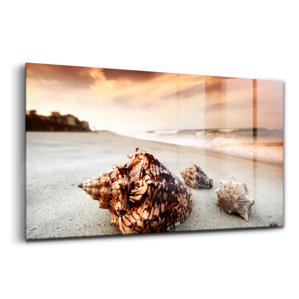 Tablou pe sticlă O scoică pe plajă