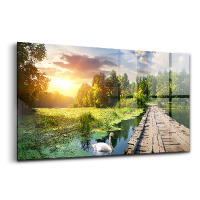 Tablou din sticlă Lebădă la apus