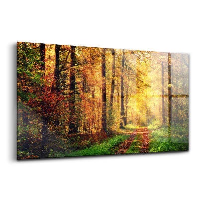 Tablou pe sticlă Peisaj de pădure de toamnă