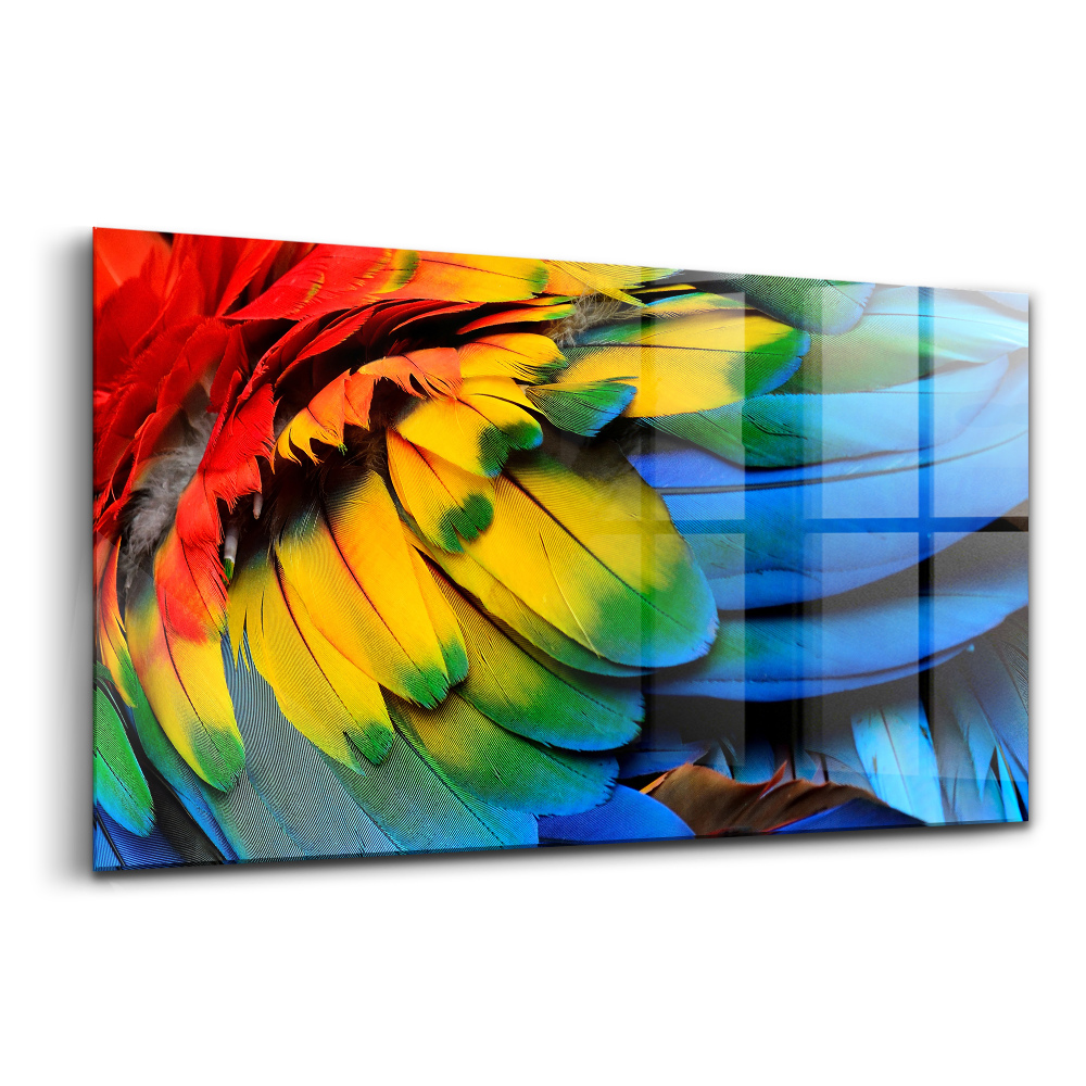 Tablou din sticlă Aripi colorate de pasăre Macaw