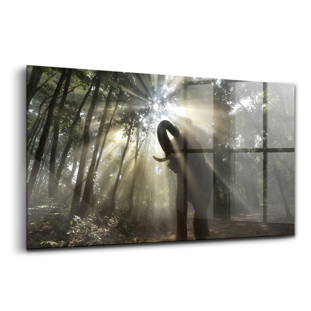 Tablou de sticlă Elefantul în junglă