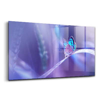 Tablou de sticlă Fluture pe iarbă