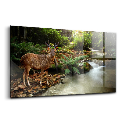 Tablou din sticlă Pârâu tropical și cerb Sambar