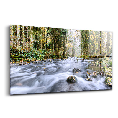 Tablou din sticlă Pârâu de munte în munți