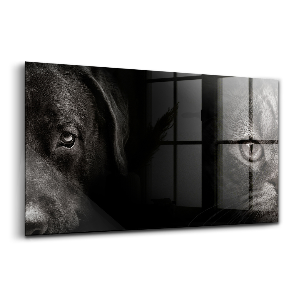 Tablou sticlă Câine labrador și pisică scoțiană