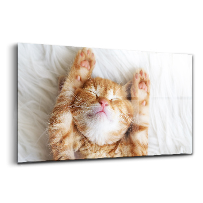 Tablou pe sticlă Pisicuță mică dormind