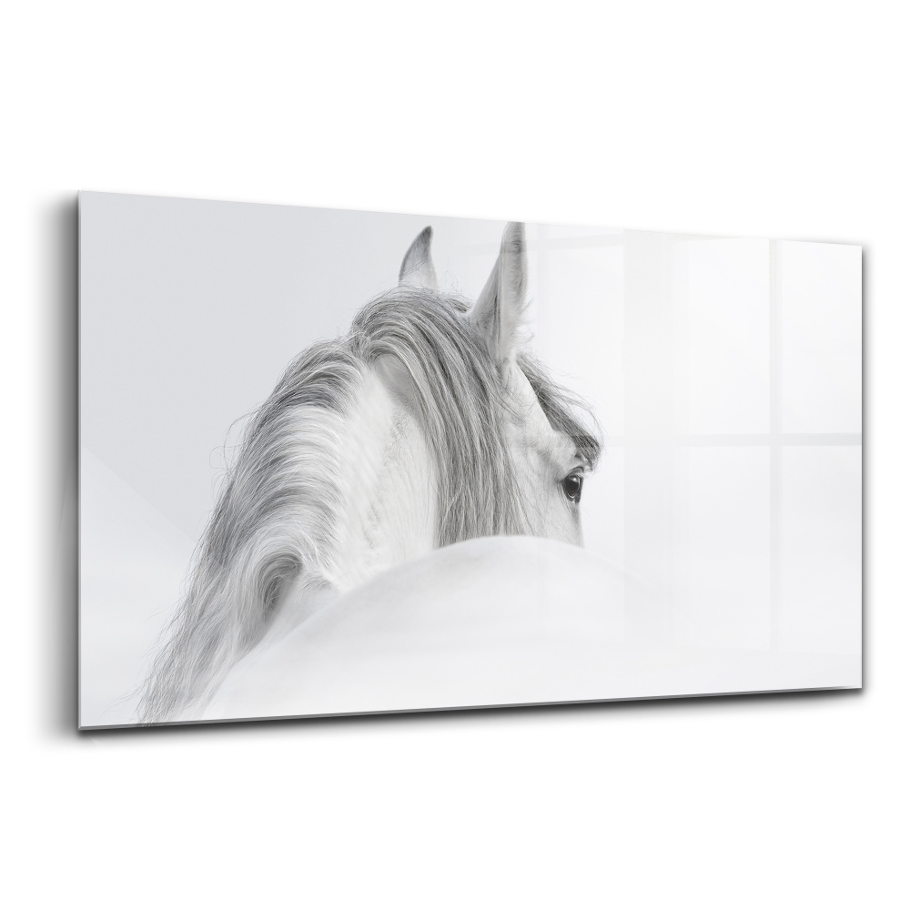 Tablou de sticlă Cal andaluz în ceață