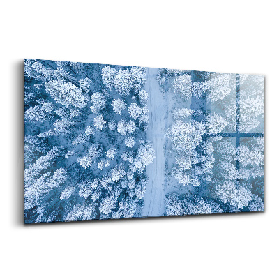 Tablou sticlă Pădurea din vedere dinspre o pasăre, cu dronă