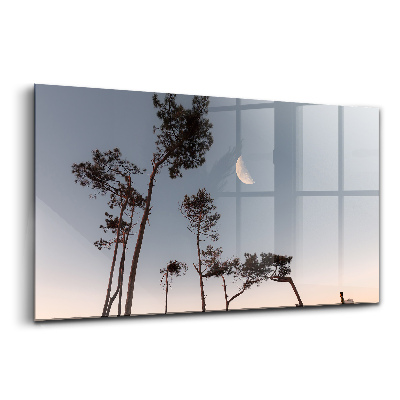 Tablou pe sticlă Semilună și copaci