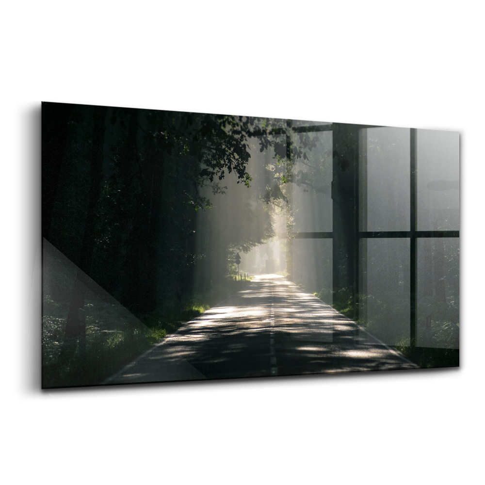 Tablou de sticlă Drum forestier și fâșii de soare