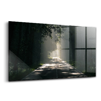 Tablou de sticlă Drum forestier și fâșii de soare