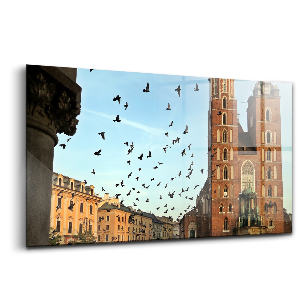Tablou pe sticlă Porumbei în orașul Cracovia
