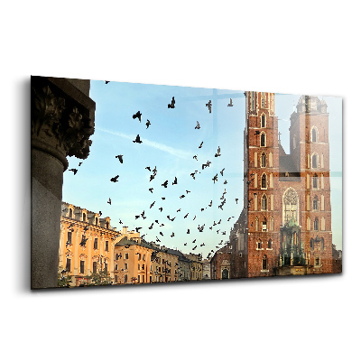 Tablou pe sticlă Porumbei în orașul Cracovia