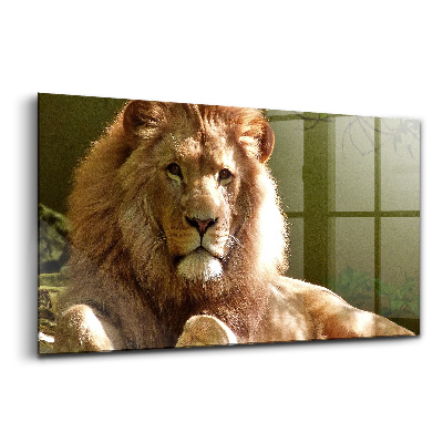 Tablou sticlă Portretul unui leu, animal sălbatic