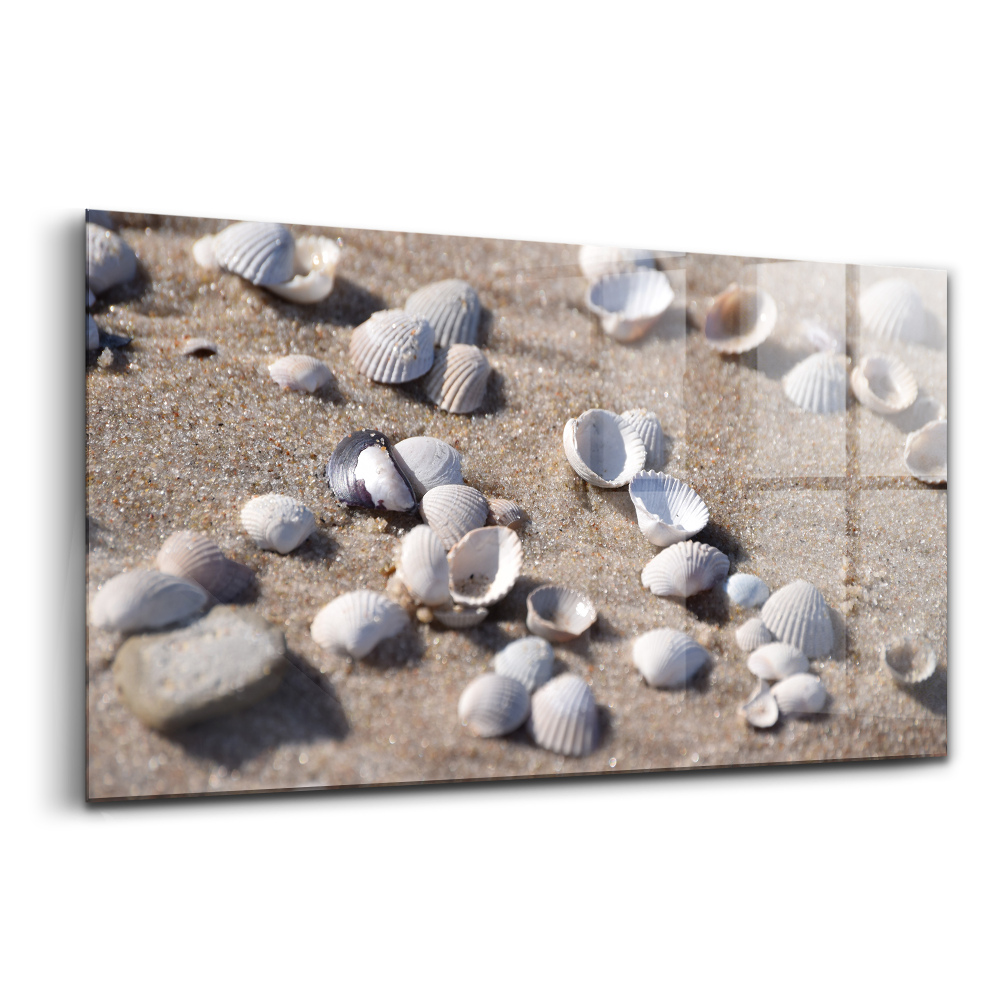 Tablou de sticlă Scoici pe plajă