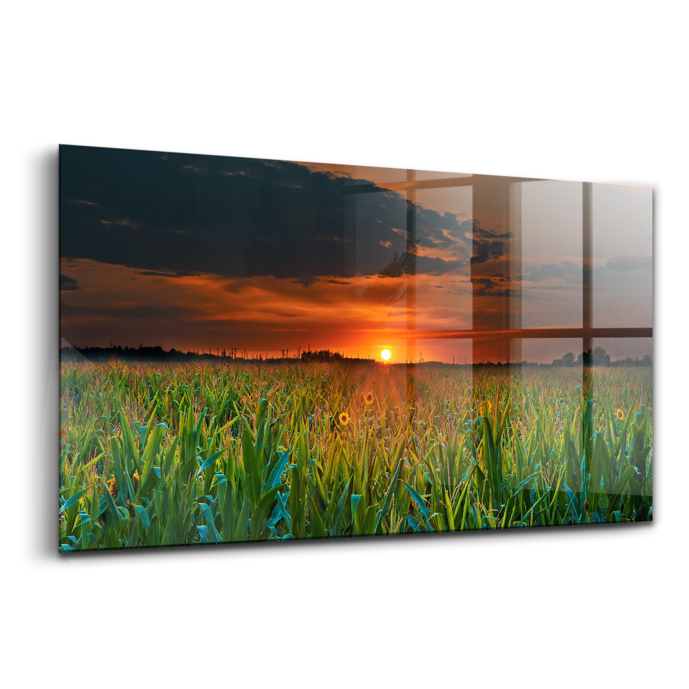 Tablou din sticlă Floarea-soarelui în pajiște