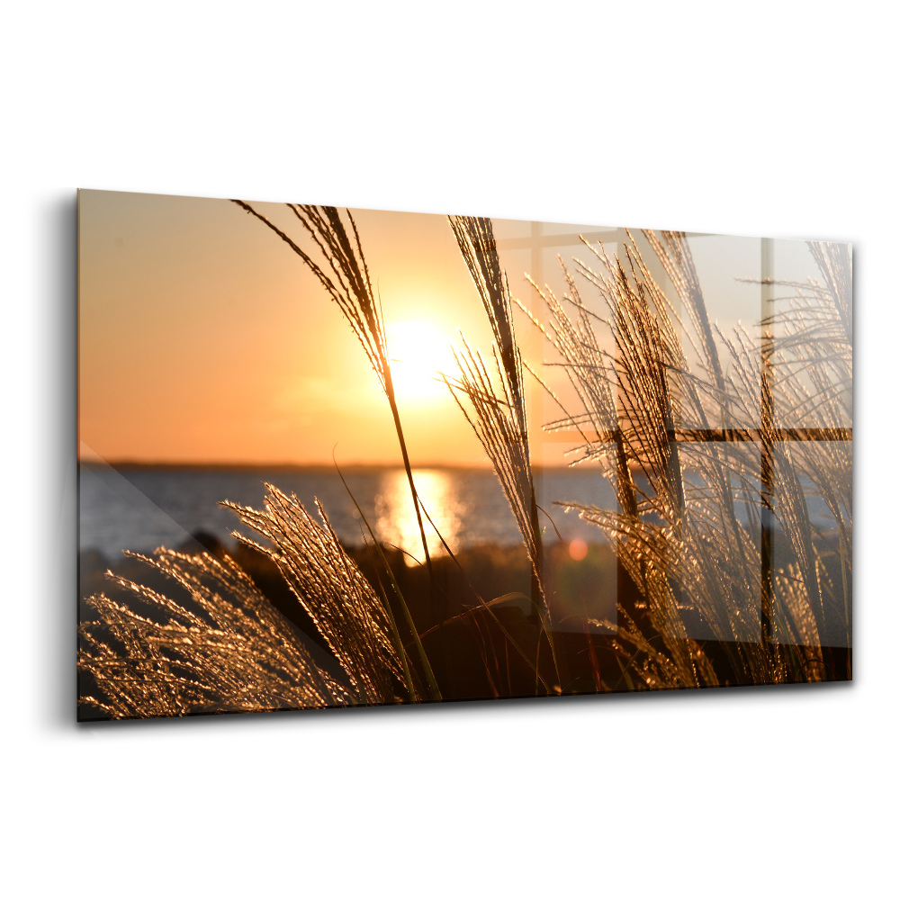 Tablou sticlă Grâul la ora de aur