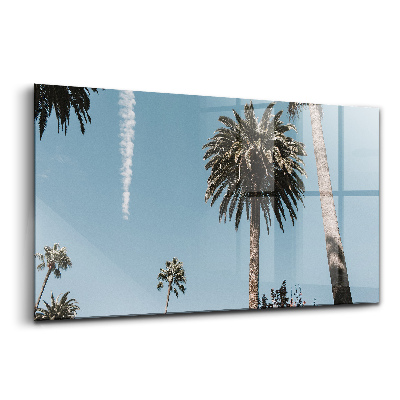 Tablou pe sticlă Palmieri în Los Angeles