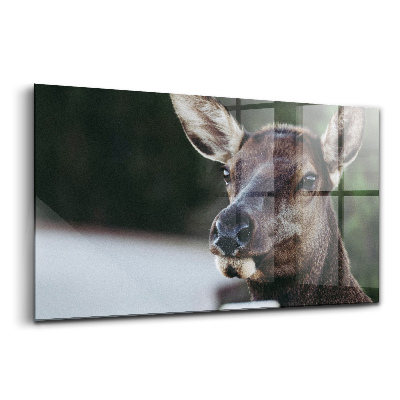 Tablou de sticlă Cerb